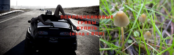 ALPHA-PVP Абинск