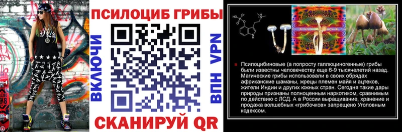 Галлюциногенные грибы Cubensis  blacksprut как зайти  Весьегонск  купить наркотики сайты 